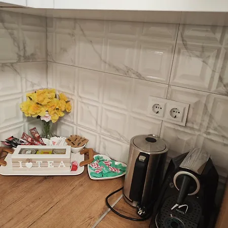 Apartman Bulevar1 Sa Garazom * דובוי